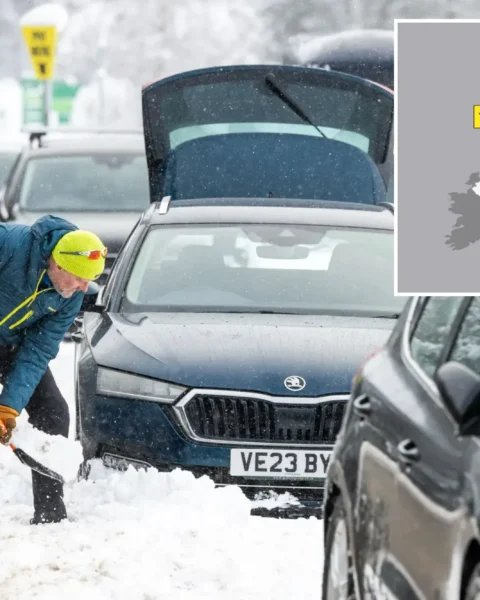 Snow and Ice Warnings