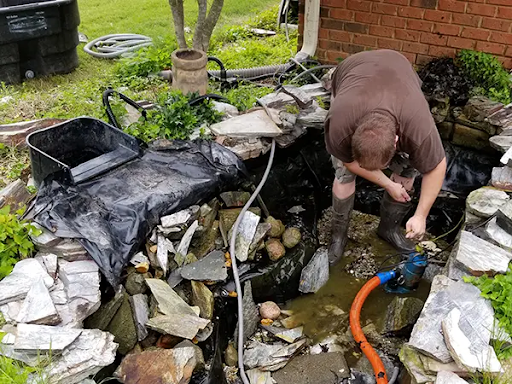 Pond Cleaning Companies