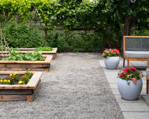 Backyard Transformation Ideas