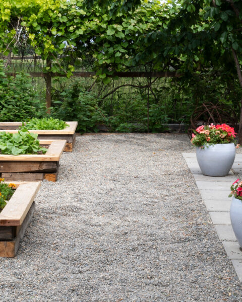 Backyard Transformation Ideas